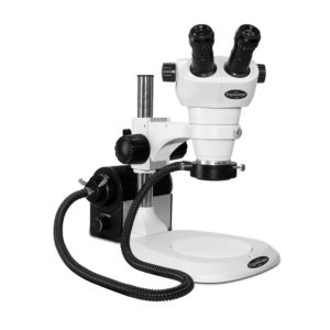 ergoscope-stereo-microscopes